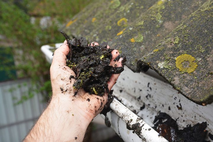 gutter cleaning halstead essex