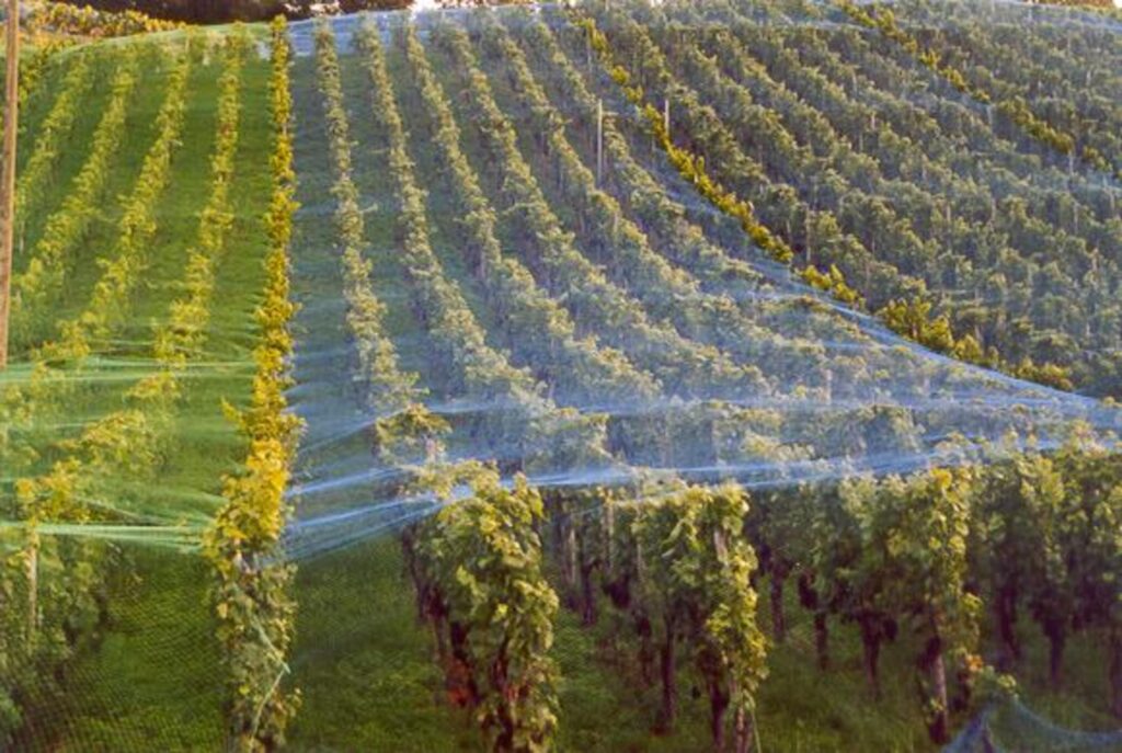 Agricultural Netting